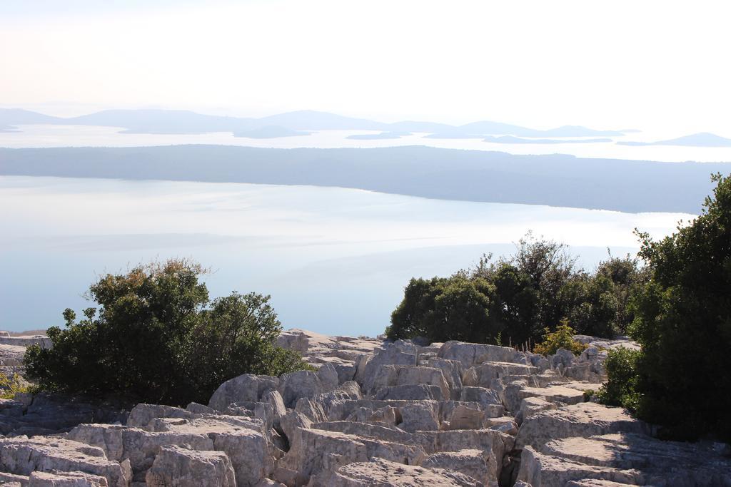 The White House Croatia Lägenhet Bibinje Exteriör bild